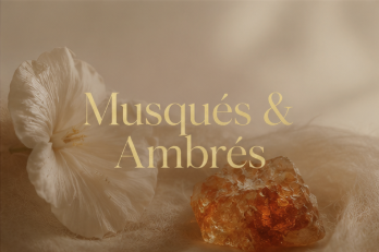 Musqués & Ambrés
