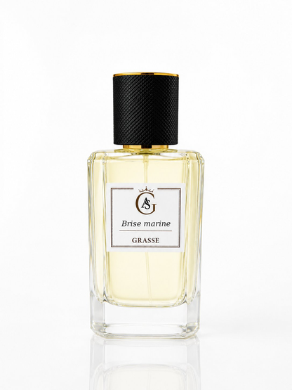 Brise marine